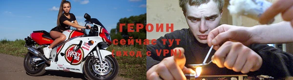 индика Белокуриха