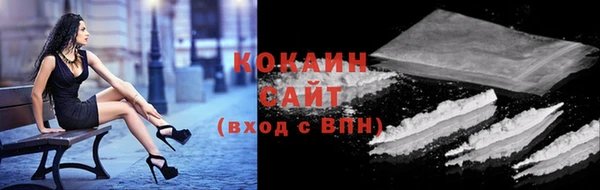 индика Белокуриха