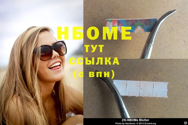 индика Белокуриха