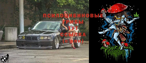 COCAINE Богородицк