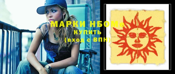индика Белокуриха