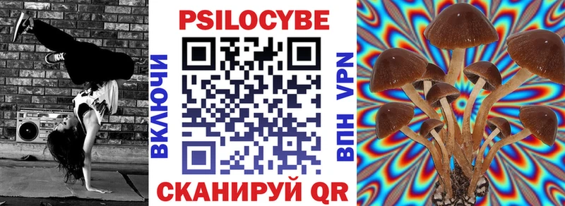 Псилоцибиновые грибы GOLDEN TEACHER  Медынь 